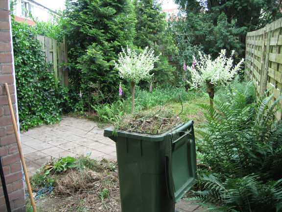 Behind the (backyard) scenes of HamsterTracker.com