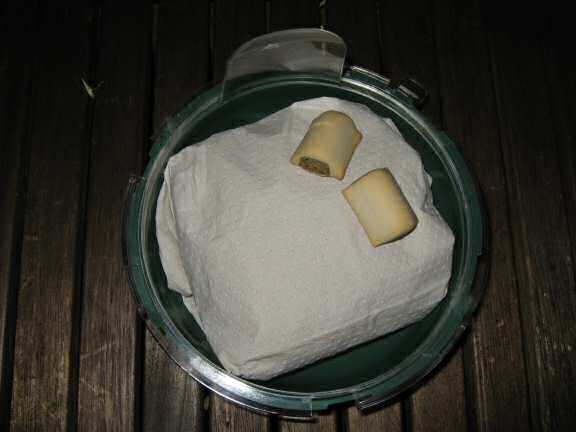 How I made a big pillow of bedding for my hamster Lucy.