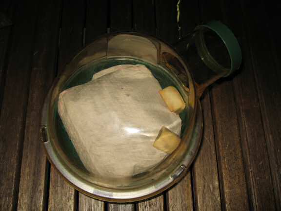 How I made a big pillow of bedding for my hamster Lucy.