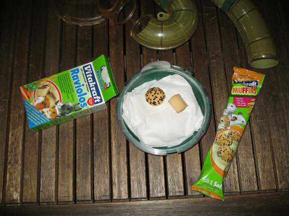 The making of a freshly cleaned bedroom for her highness Lucy (3.0)