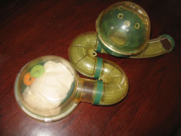 My hamster Lucy's bedroom needs some cleaning.