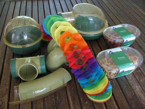 My birthday preparations for my hamster Lucy.