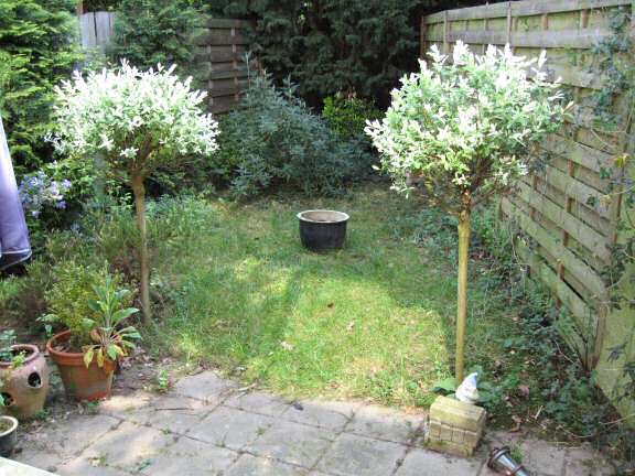 The burial of Lucy (2.0).