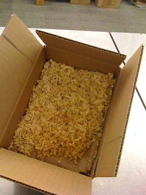 "Happy Hamster"-Book, Give-A-Way Competition!