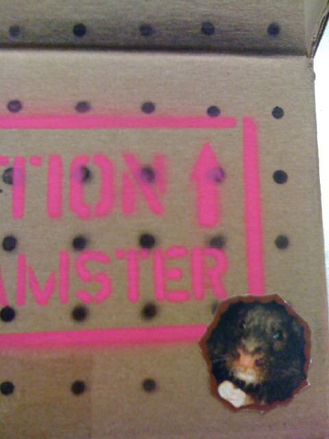 "Happy Hamster"-Book, Give-A-Way Competition!