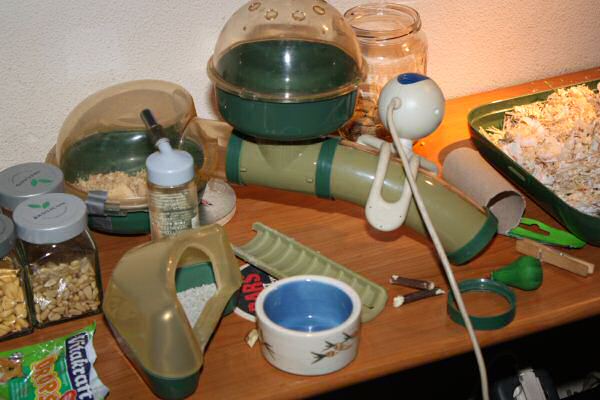 The First MASSIVE Lucy Mansion Clean!