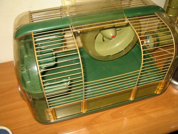 My hamster Lucy's cage clean chores ...