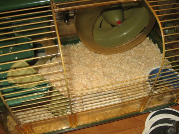 Cage Clean that lead to Sensor Misalignment ...