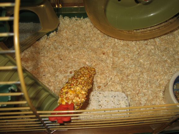 Cage Clean that lead to Sensor Misalignment ...