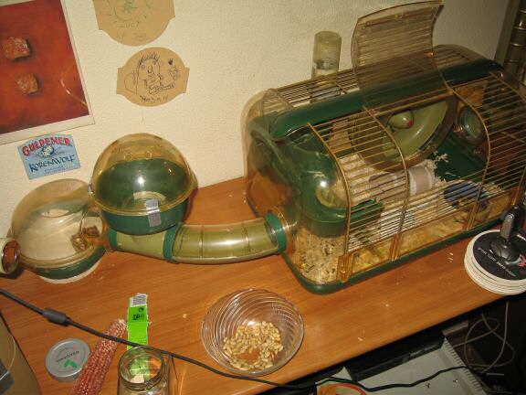 A sign of Life from Lucy at HamsterTracker.com