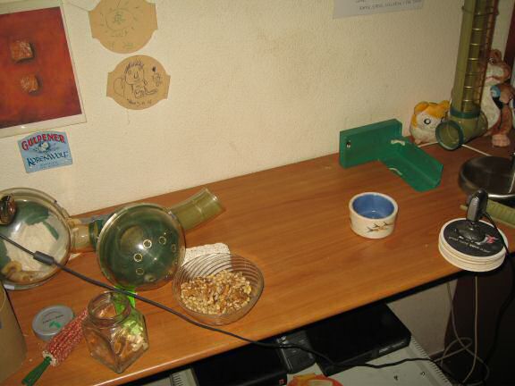 Update from the HamsterTracker Head Office !