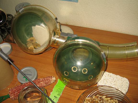 Update from the HamsterTracker Head Office !