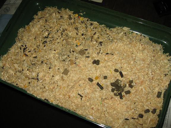 Update from the HamsterTracker Head Office !