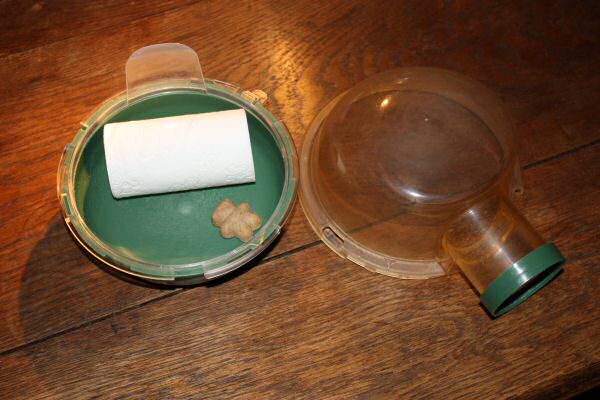 My hamster Lucy's bedroom clean challenge...