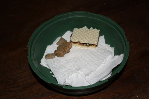 Lucy's, much needed, Bedroom Clean Chores!