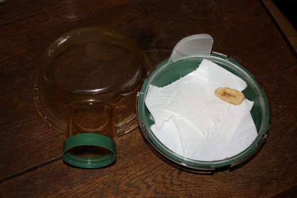 Mansion Expansion for Lucy!