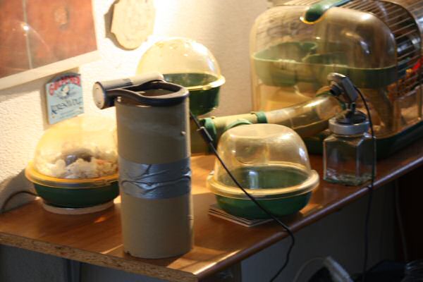 Mansion Expansion for Lucy!