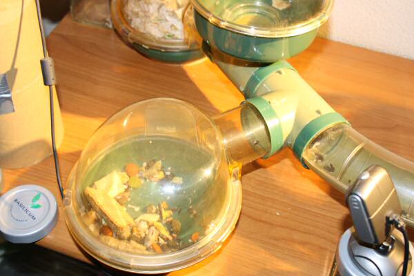 Mansion Expansion for Lucy!