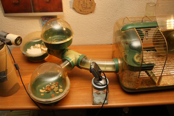 When Lucy Asks, She Gets!