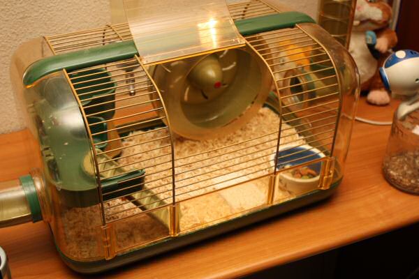 When Lucy Asks, She Gets!