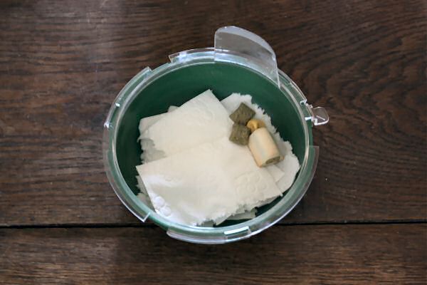 Spring Time at HamsterTracker.com!