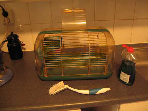 Cleaning Lucy's cage.