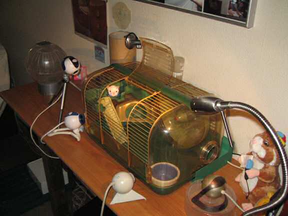 Cleaning Lucy's cage.