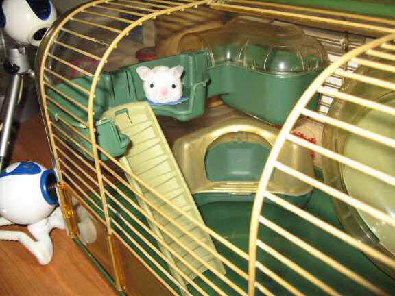 Cleaning Lucy's cage.