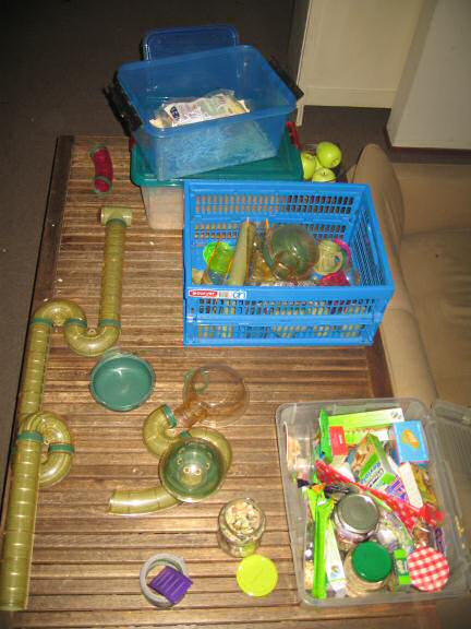 Cleaning my hamster Lucy's quarters.