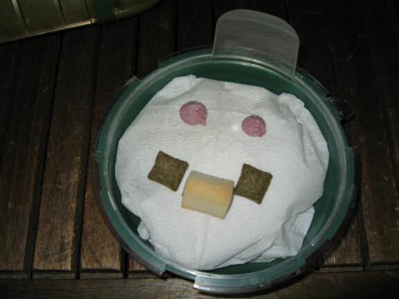 Cleaning my hamster Lucy's quarters.