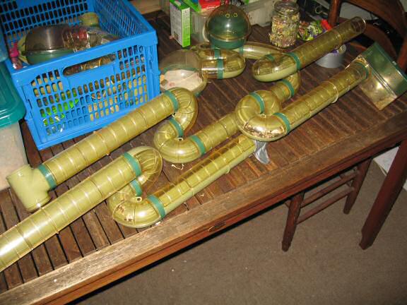 Cleaning my hamster Lucy's quarters.