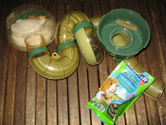 Cleaning my hamster Lucy's cage.