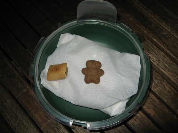 Cleaning my hamster Lucy's cage.