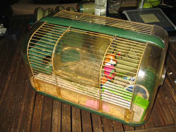 My hamster Lucy's latest cage clean.