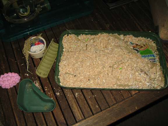 My hamster Lucy's latest cage clean.