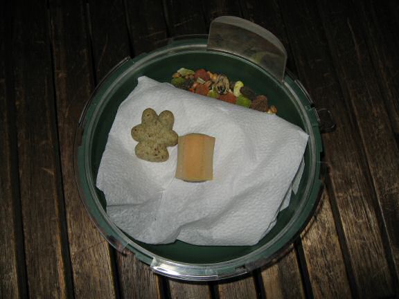 A fresh cleaned bedroom for my hamster Lucy.