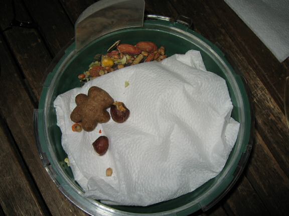 A fresh cleaned bedroom for my hamster Lucy.