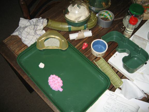 My hamster Lucy experiencing a huge cage-clean.