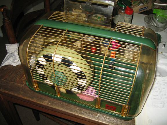 My hamster Lucy experiencing a huge cage-clean.