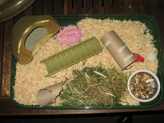 My hamster Lucy experiencing a huge cage-clean.