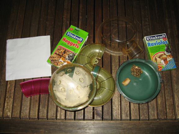 My hamster Lucy in her overly stuffed bedroom.