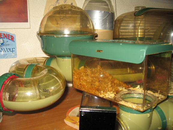 Maintenance by the HamsterTracker™-Cage Clean Dept.