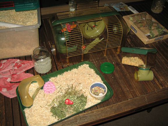 Maintenance by the HamsterTracker™-Cage Clean Dept.