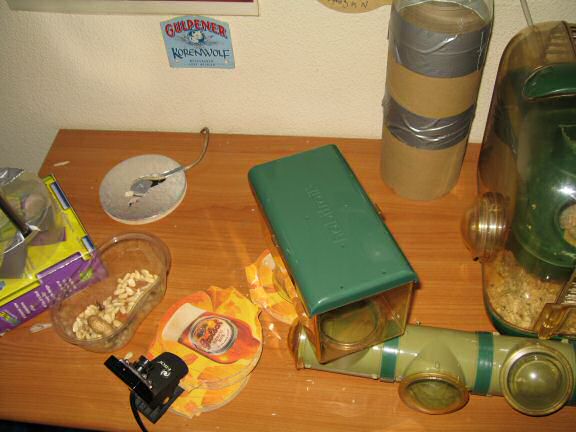 My hamster Lucy's Cage Maintenance.