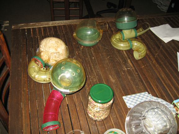 My hamster Lucy's Cage Maintenance.