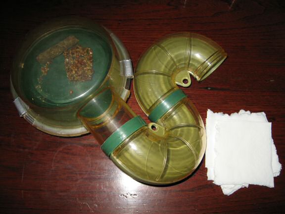 Friday; chores-day / -evening with my hamster Lucy.