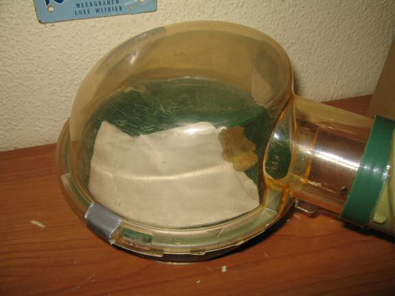 My hamster Lucy getting her bedroom cleaned.