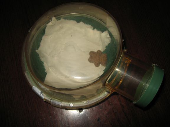 Cleaning my hamster Lucy's bedroom.