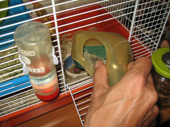Cleaning my hamster Lucy's cage ...