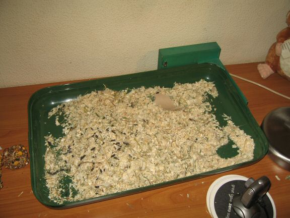 Cage cleaning for my hamster Lucy...